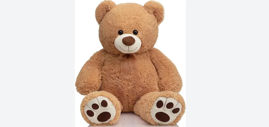 Hug ‘n’ Feel Teddy Bear