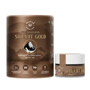 Wellbeing Nutrition Shilajit Original Resin 20g