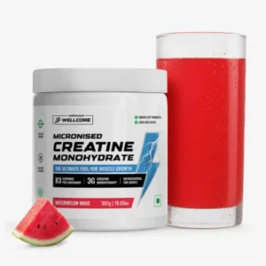Wellcore Micronised Monohydrate Creatine 310 g