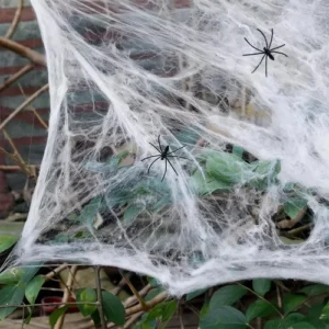 Rozi Decoration Halloween Spider Web Decor